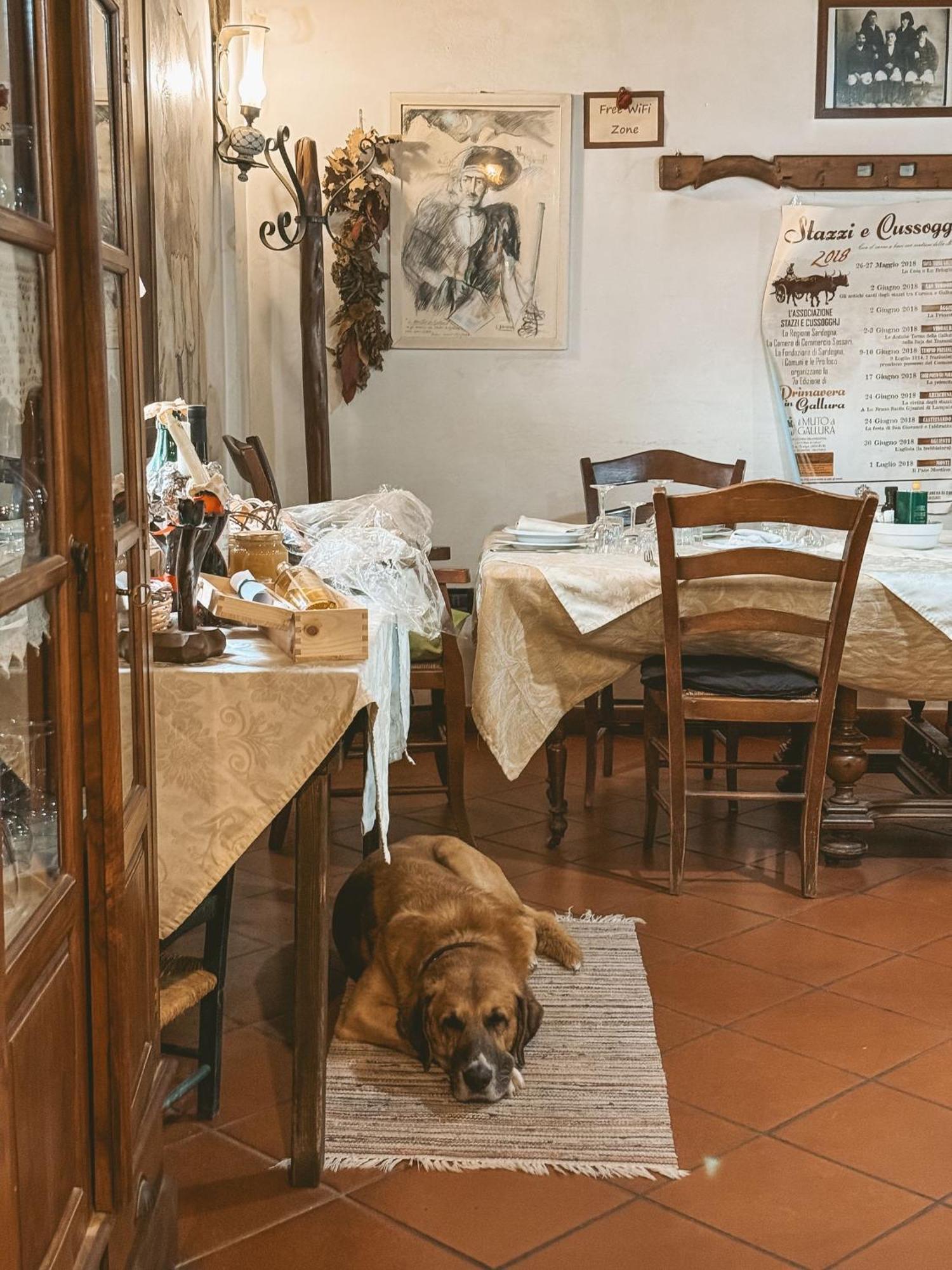Agriturismo Il Muto Di Gallura Aggius Ngoại thất bức ảnh