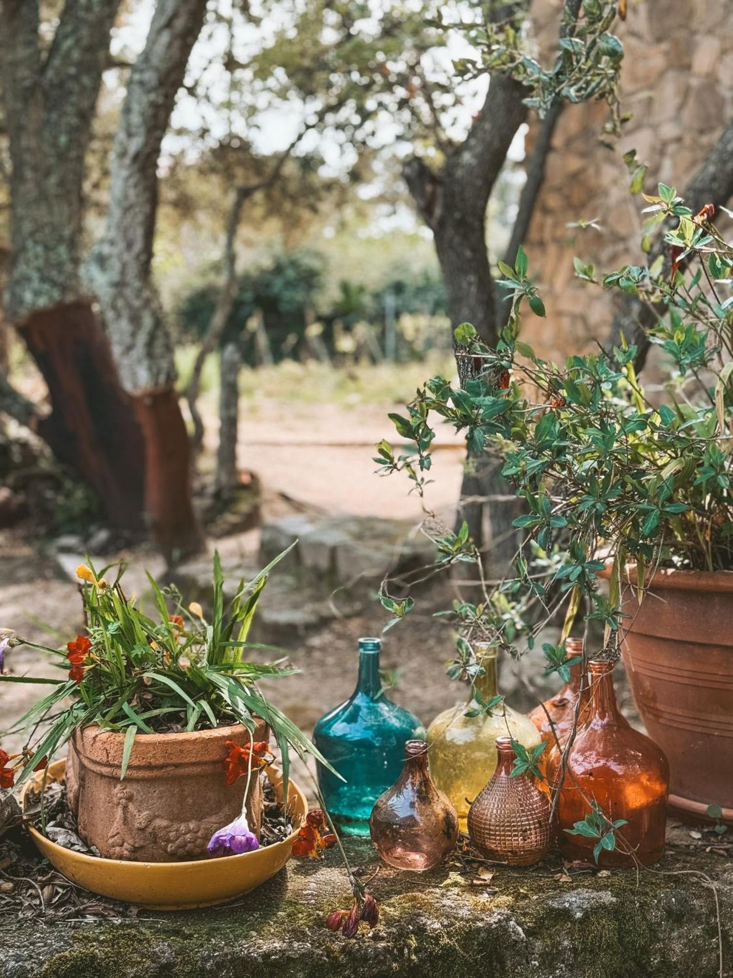 Agriturismo Il Muto Di Gallura Aggius Ngoại thất bức ảnh