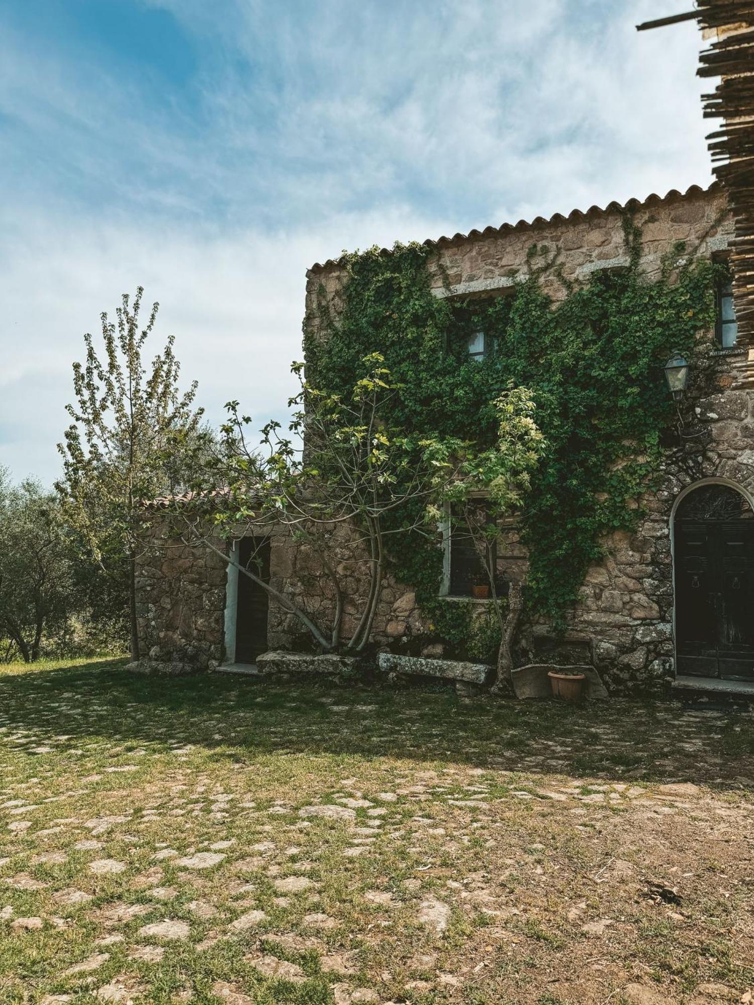Agriturismo Il Muto Di Gallura Aggius Ngoại thất bức ảnh