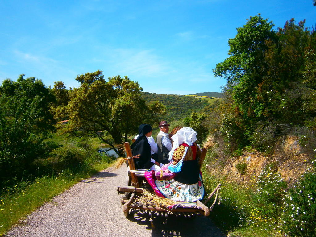 Agriturismo Il Muto Di Gallura Aggius Ngoại thất bức ảnh