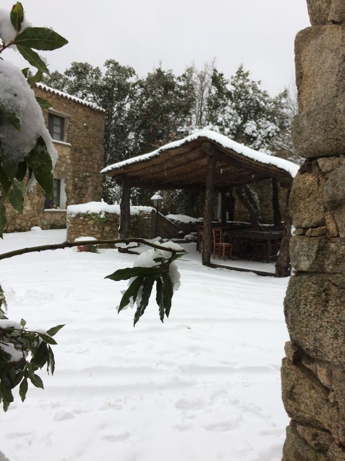 Agriturismo Il Muto Di Gallura Aggius Ngoại thất bức ảnh