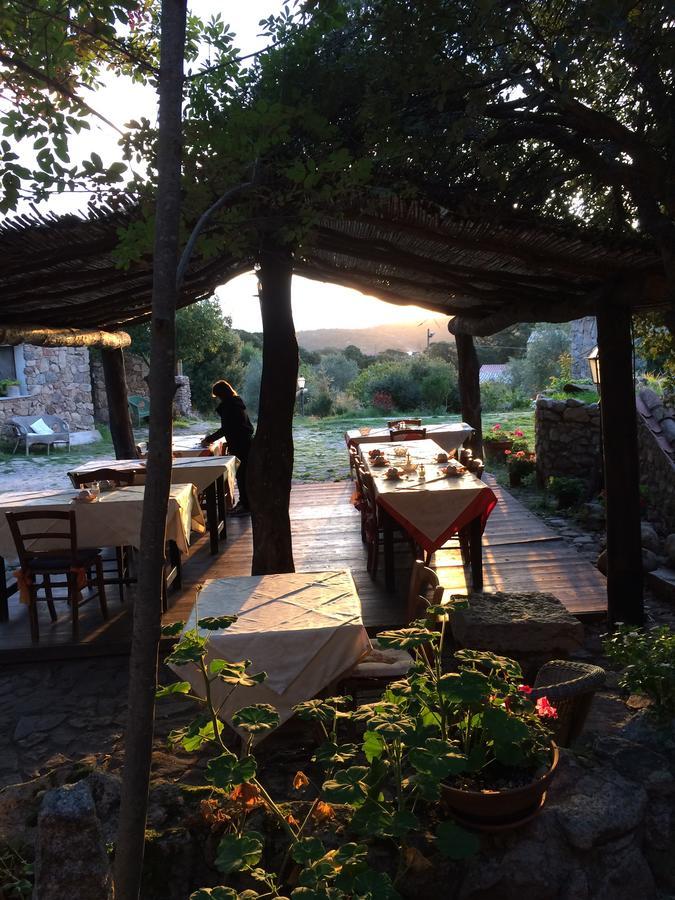 Agriturismo Il Muto Di Gallura Aggius Ngoại thất bức ảnh