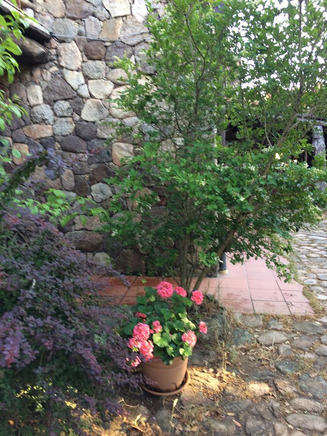 Agriturismo Il Muto Di Gallura Aggius Ngoại thất bức ảnh